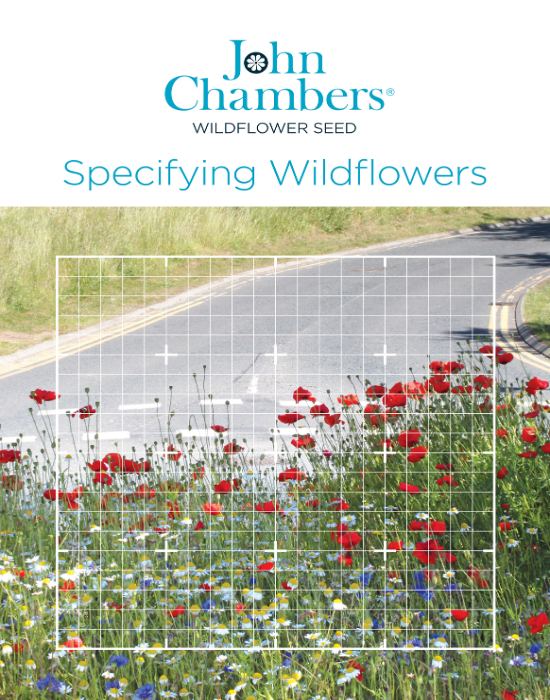John Chambers Specifying Wildflowers Brochure