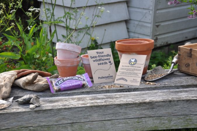 John Chambers Wildflower Seed joins the Pollenation campaign