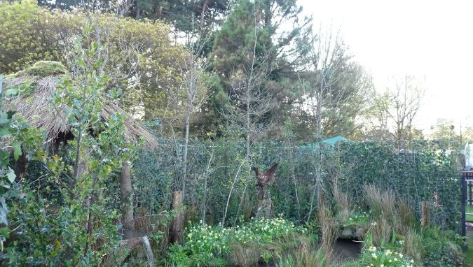 Green-tech’s living screens create an air of mystery and magic at RHS Cardiff Flower Show