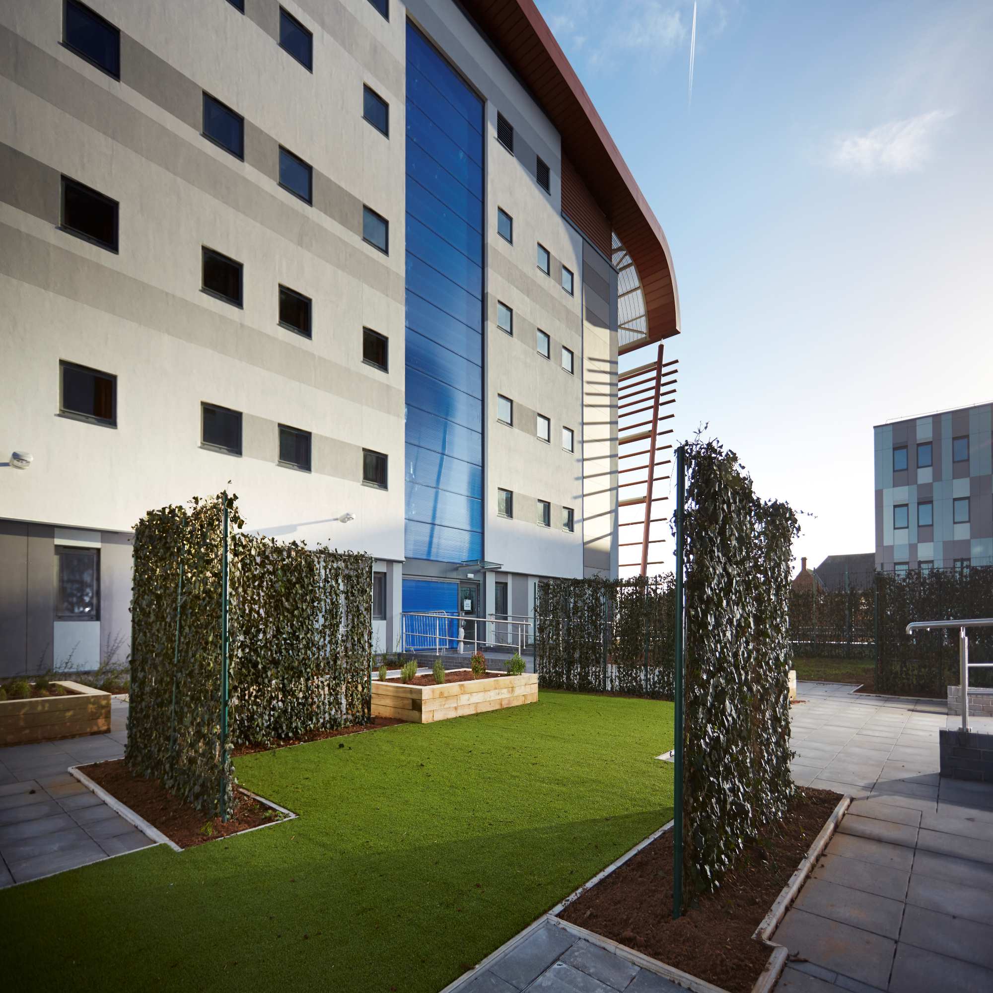 Green Walls & Ivy Screens