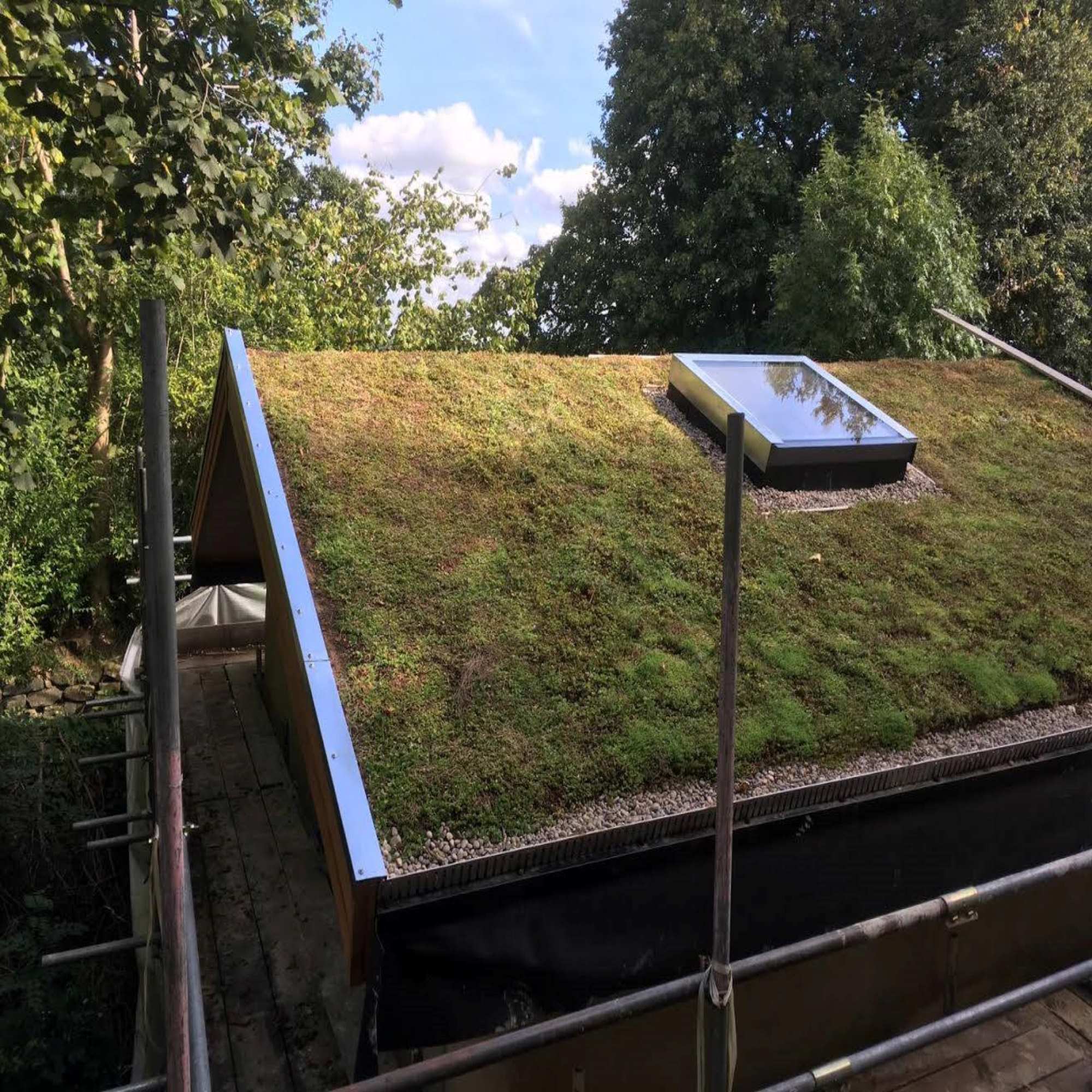 Green Roofs & Living Walls