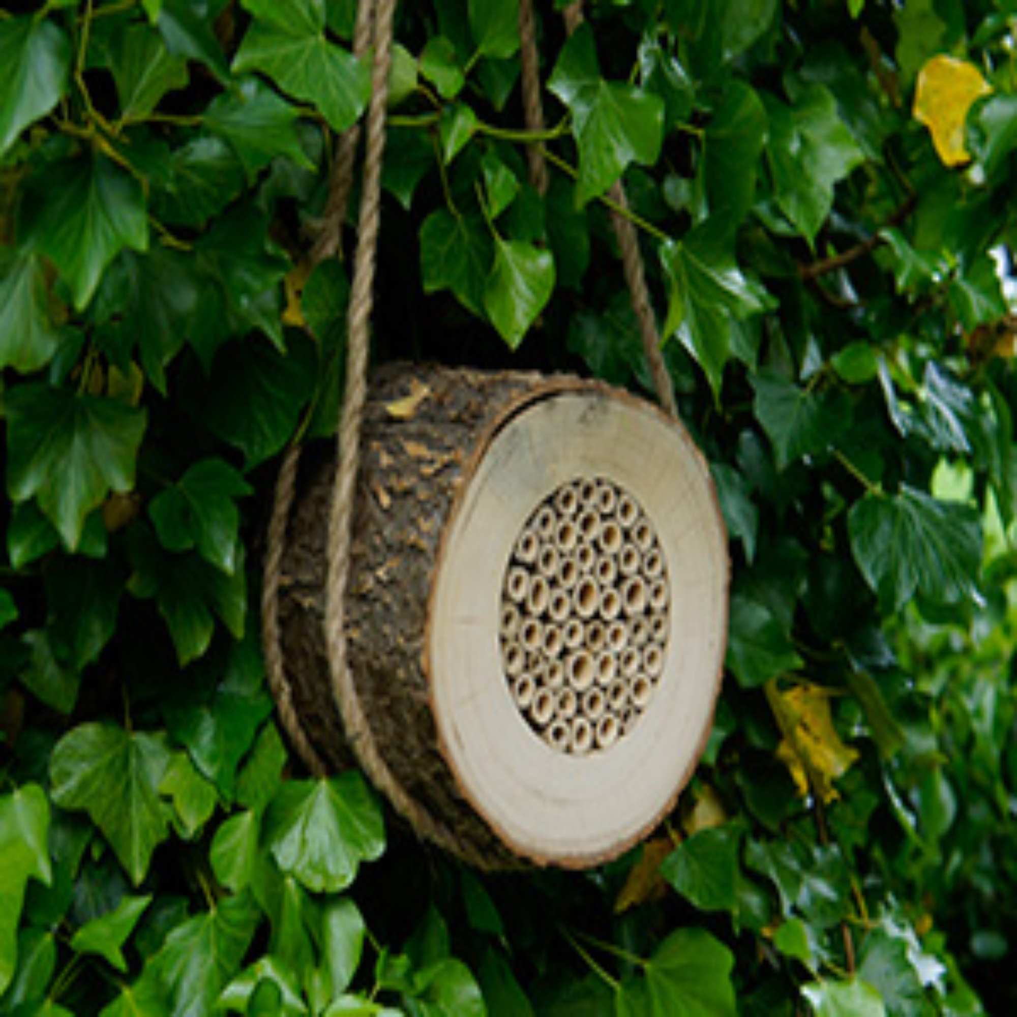 Bee Houses
