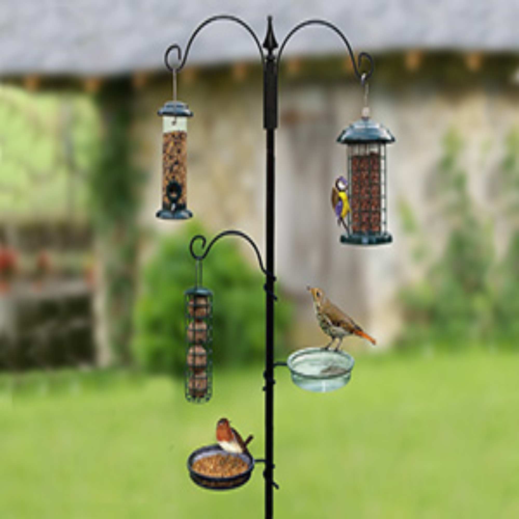 Bird Feeders & Seed