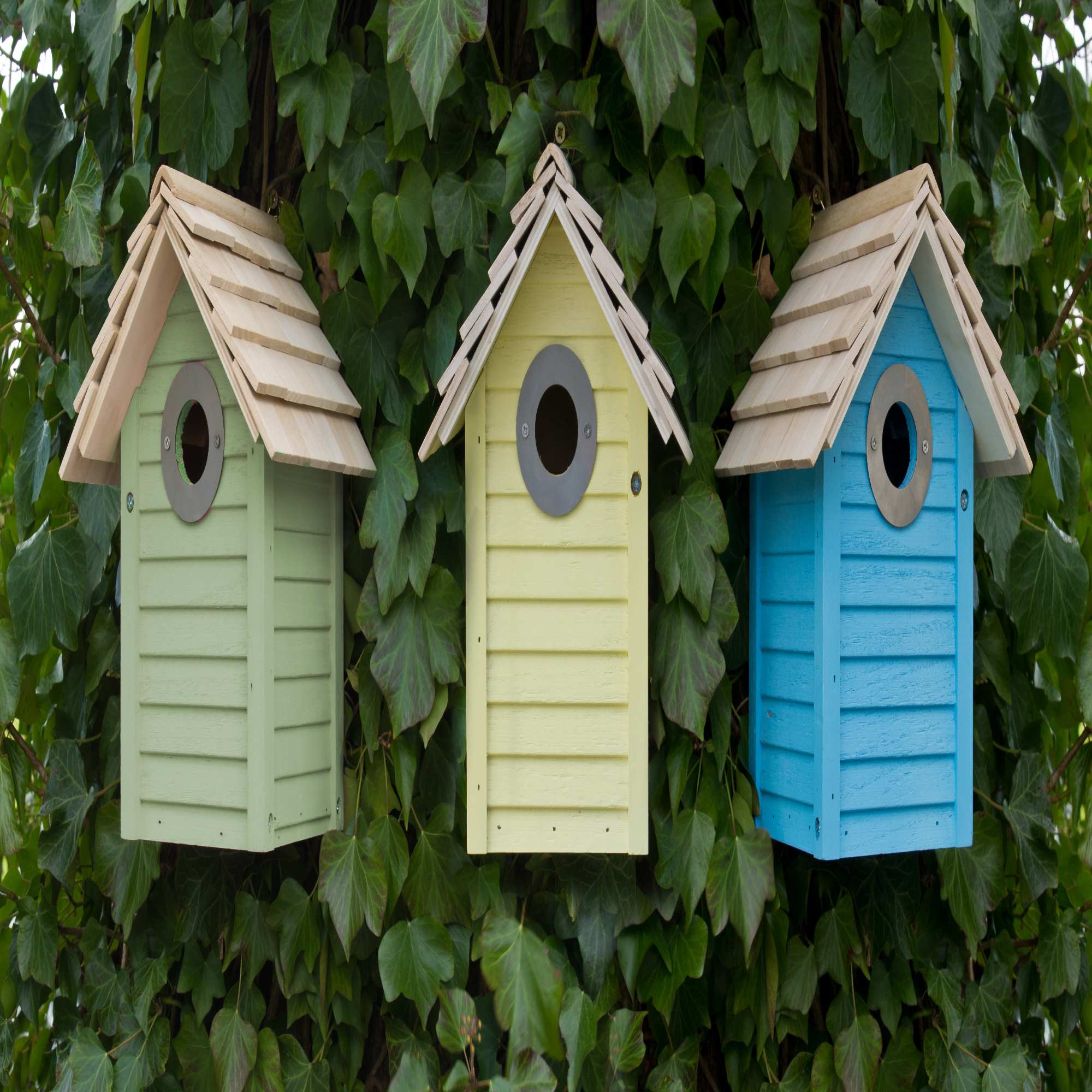 Bird Nesting Boxes