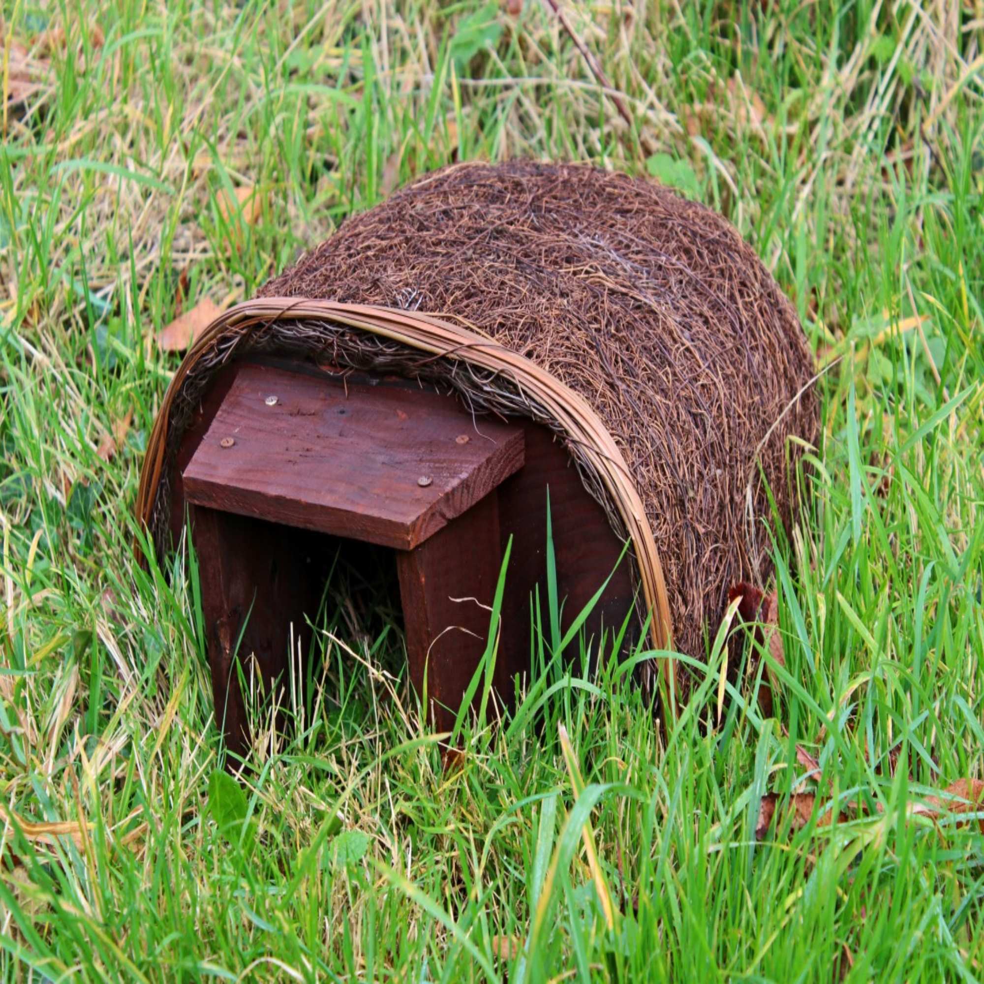 Hedgehog Houses